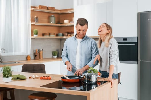 Preparing dinner. Couple at home on the modern kitchen.