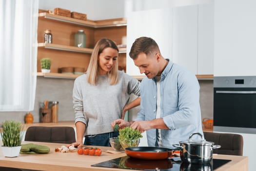 Talking with each other. Couple preparing food at home on the modern kitchen.