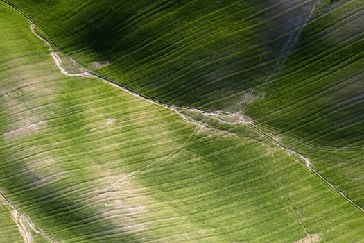 Aerial photographic documentation of the shapes of cultivated fields in Tuscany Italy 