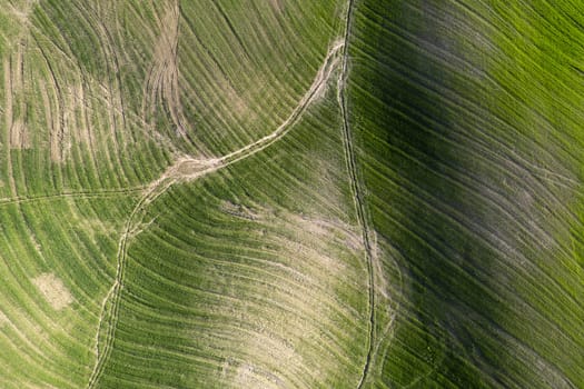 Aerial photographic documentation of the shapes of cultivated fields in Tuscany Italy 