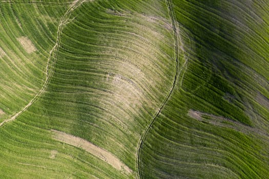 Aerial photographic documentation of the shapes of cultivated fields in Tuscany Italy 