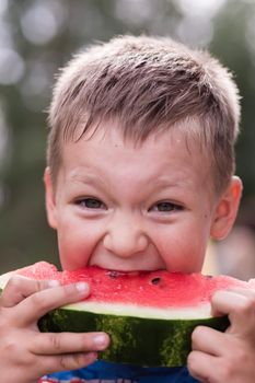 The boy eats watermelon with delight. Bites red flesh strongly. Summer is the time for vacations and vacations.