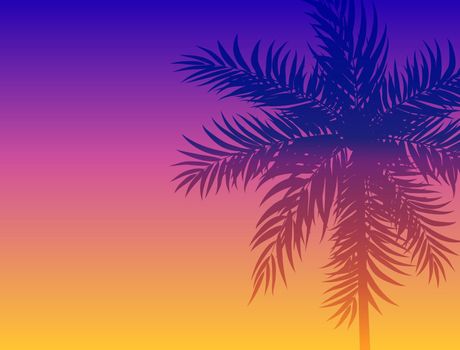 Beautifil Palm Tree Leaf Silhouette Background Vector Illustration EPS10