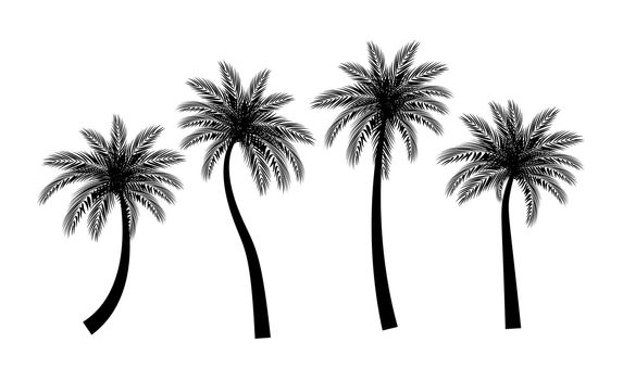 Beautifil Palm Tree Silhouette Collection Set Vector Illustration EPS10