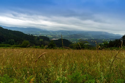 landscape in mountains. grassy field and rolling hills out of focus. rural scenery