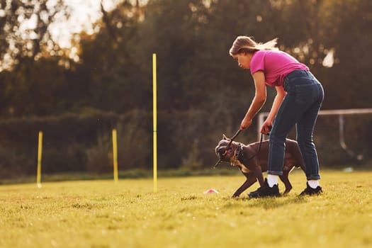 Doing tricks. Woman in casual clothes is with pit bull outdoors.