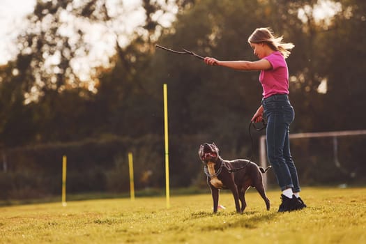 Doing tricks. Woman in casual clothes is with pit bull outdoors.
