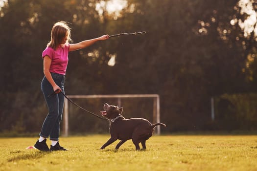 Doing tricks. Woman in casual clothes is with pit bull outdoors.