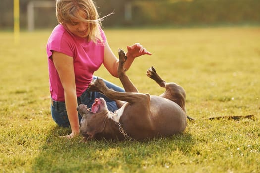 Playing on the ground. Woman in casual clothes is with pit bull outdoors.