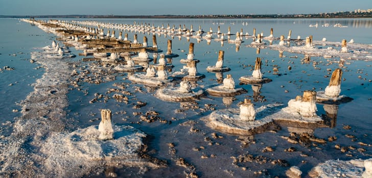 Salt crystals on wooden pillars of an old 18th century salt industry. The ecological problem is drought.  Drying Kuyalnik estuary. 