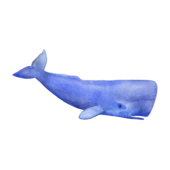 Blue whale or cachalot watercolor illustration isolated on white. Sea animal.