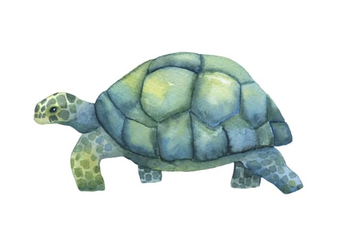 Blue and green watercolor going turtle isolated on white background. Hand drawn illustration ocean or underwater animal