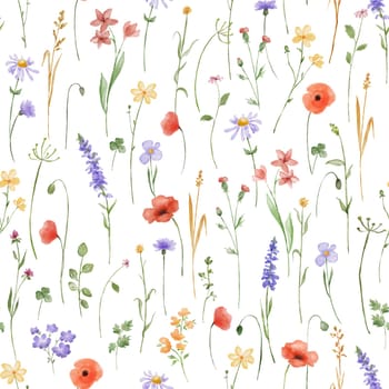 Watercolor floral seamless pattern with flowers poppy and lavender. Spring colorful decor with hand drawn wildflowers on white background