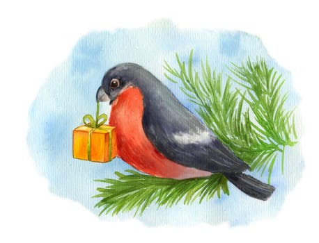 Bullfinch bird on pine branch with gift box. Watercolor illustration on blue background for card. Forest little songbird