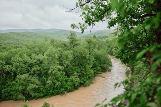 mountain river after rain flows in a forest area. High quality photo