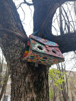 Colorful multi-colored bird feeder on a tree in a city park close-up.