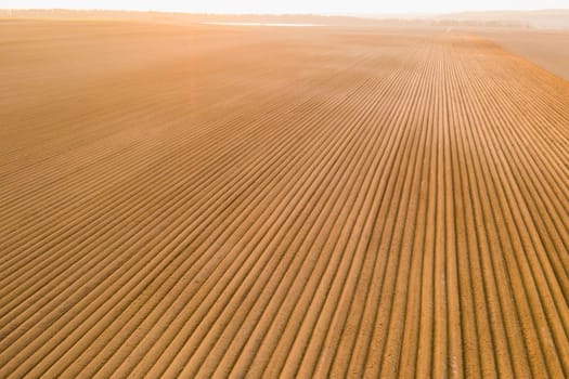 Aerial view of the agricultural field with furrows on soil at sunset
