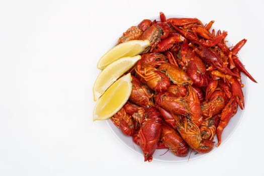 Boiled crayfish with lemon on the plate on the white background with copy space.