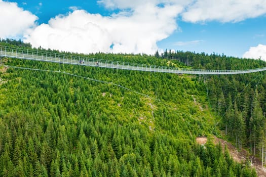 Sky Bridge 721 is the longest suspension bridge between two hills in the forest, Dolni Morava, Czech Republic . One way footbridge in touristic place in the forest in summer.