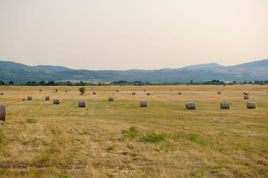 Rural landscape with bales of wheat straw against blurry green mountains at sunlight. Countryside scenery with bales scattered on field