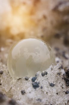 The glass ball lies on a dirty snowdrift nearby. Ecology concept.