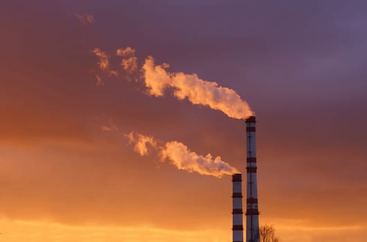 Ecological concept. Air pollution. Smoke comes out of the industrial pipes in the rays of the setting sun.
