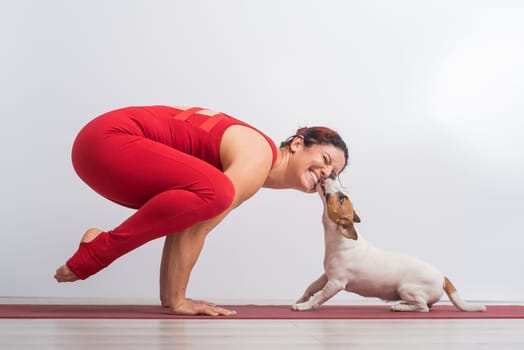 Caucasian woman practices yoga in a red bodysuit with her dog Jack Russell Terrier on a white background. The girl stands in the bokasana pose.