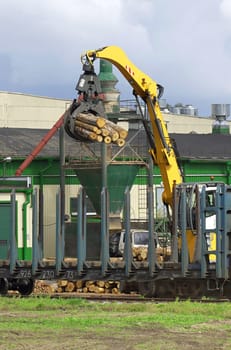 Industrial concept. A crane unloads logs at a woodworking plant.