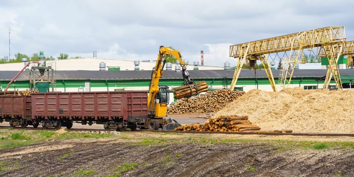 Industrial concept. A crane unloads logs at a woodworking plant.