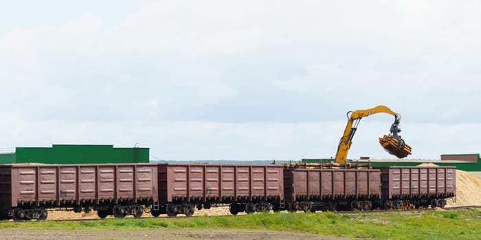 Industrial concept. A crane unloads logs at a woodworking plant.