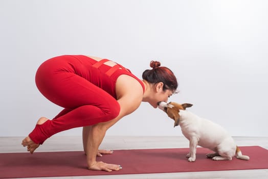 Caucasian woman practices yoga in a red bodysuit with her dog Jack Russell Terrier on a white background. The girl stands in the bokasana pose.