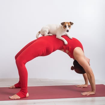 Woman in bridge pose with dog. Girl doing yoga with her pet