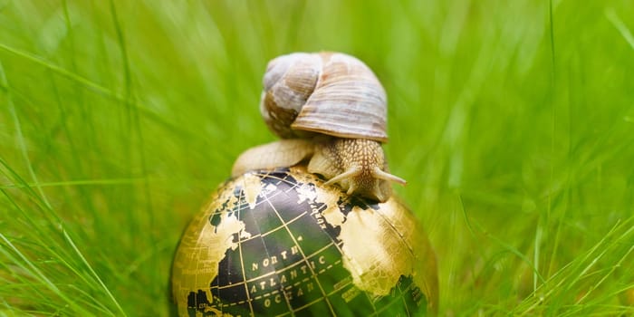 Ecological concept. In the grass there is a globe on which the snail moves.