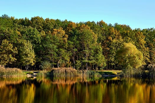 Autumn is the most colorful time of the year from all seasons, when nature changes its usual appearance to golden colors