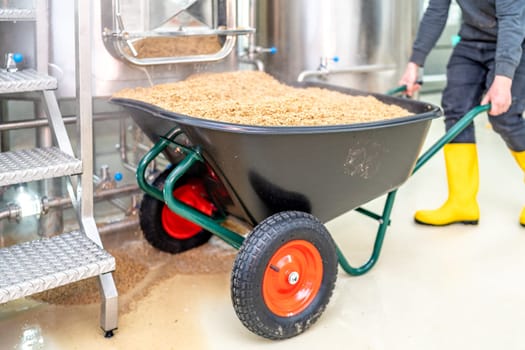 malt for brewing beer in a brewery. High quality photo
