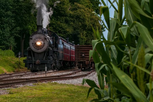 A Front View of a Steam Locomotive Blowing Smoke and Steam With Freight and Corn Stalks on the Right of View on a Summer Day