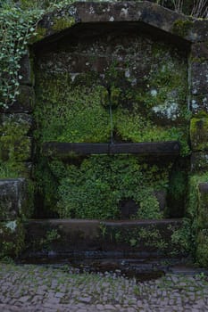 A stone structure nestled among the trees in a lush forest, covered in thick moss