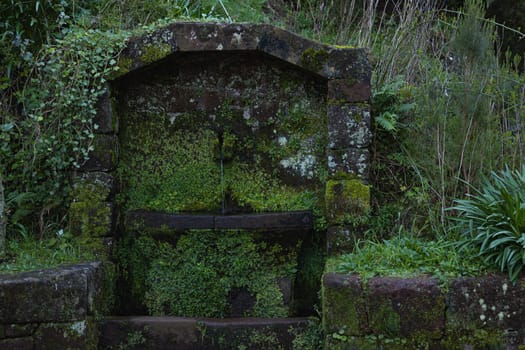 A stone structure nestled among the trees in a lush forest, covered in thick moss