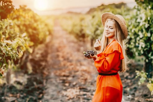 Portrait of a happy woman in summer vineyards at sunset. a woman in a hat and a red dress holds black grapes in her hands.