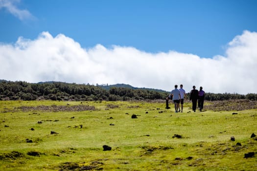 A diverse group of people, including both adults and children, are walking together across a lush, green grassy field under an overcast sky