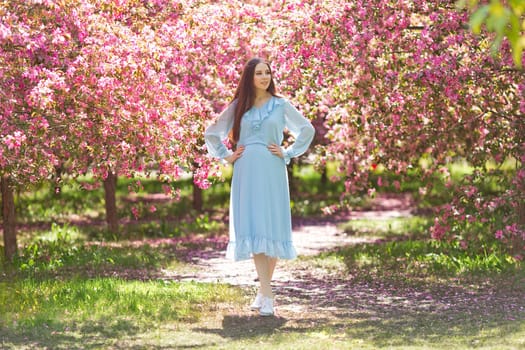 Adorable brunette girl in light blue dress, with long hair is standing near a pink blooming apple trees, in the garden, in sunny day, looking away. Copy space