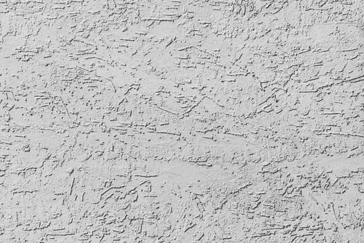 Light gray white decorative plaster abstract bark beetle pattern wall texture background.