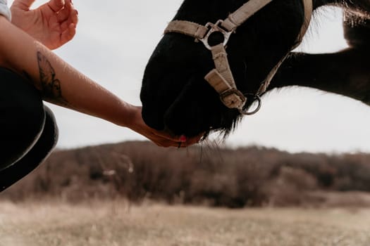 Cute happy young woman with horse. Rider female drives her horse in nature on evening sunset light background. Concept of outdoor riding, sports and recreation.