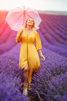 A middle-aged woman in a lavender field walks under an umbrella on a rainy day and enjoys aromatherapy. Aromatherapy concept, lavender oil, photo session in lavender.