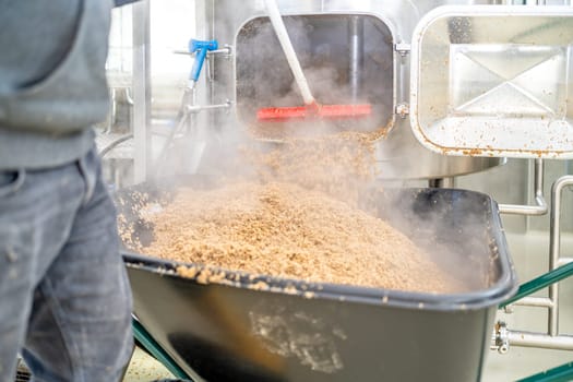 cleaning the boiler from residual malt after brewing beer in the brewery.