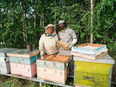 Beekeeper inspecting honeycomb frame at apiary at the summer day. Man working in apiary. Apiculture. Beekeeping