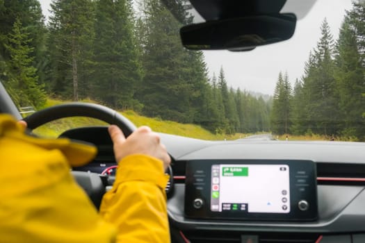 Traveler drives automobile through pass among mountain forest with coniferous trees. Tourist wearing yellow jacket drives to destination with Google map navigation, January 2023, Belluno, Italy