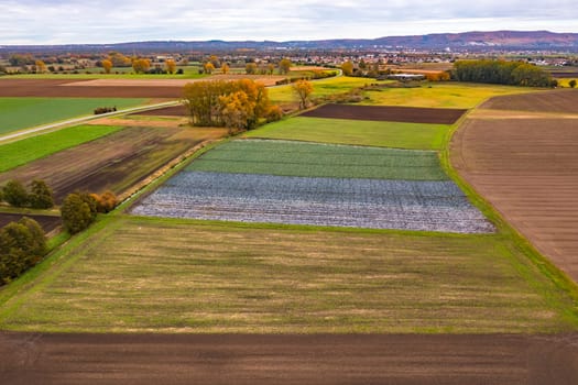 Aerial view of colorful fields along a country road in southern Hesse, Germany