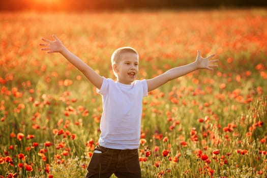 Portrait of a happy boy 10 years old on a poppy field in summer, a child with raised hands from happiness. happy childhood