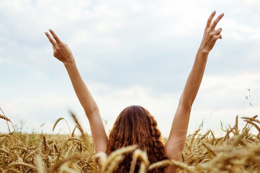 Female hands stick out from the wheat field. Happy young woman is free in a ripe golden wheat field. Nature walks